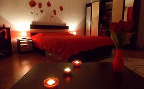 Studio Lujerului Bucuresti